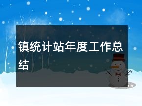 镇统计站年度工作总结