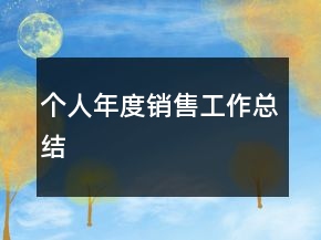 个人年度销售工作总结