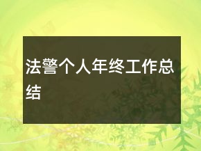 法警个人年终工作总结