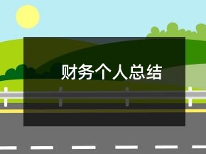 财务个人总结