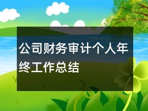 公司财务审计个人年终工作总结