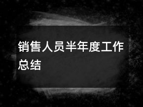 销售人员半年度工作总结