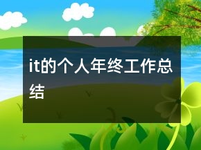 it的个人年终工作总结
