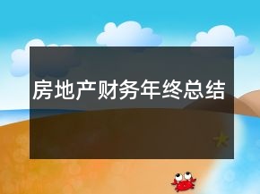 房地产财务年终总结