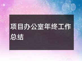 项目办公室年终工作总结