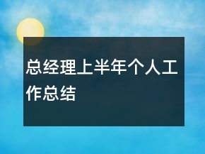 总经理上半年个人工作总结