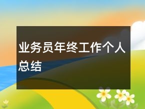 业务员年终工作个人总结