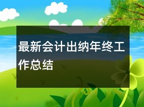 最新会计出纳年终工作总结