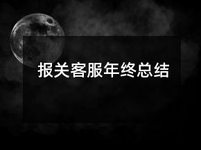 报关客服年终总结