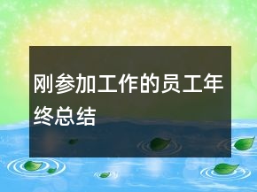 刚参加工作的员工年终总结