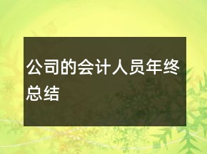 公司的会计人员年终总结