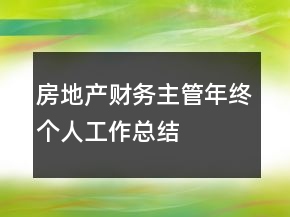 房地产财务主管年终个人工作总结