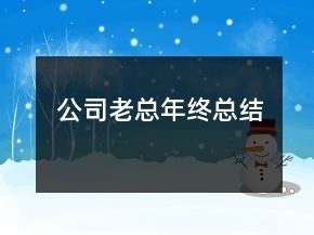 公司老总年终总结