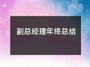 副总经理年终总结