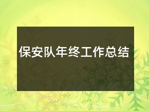 保安队年终工作总结