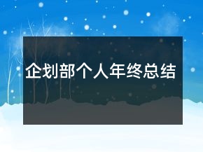 企划部个人年终总结