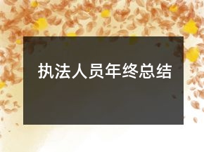 执法人员年终总结
