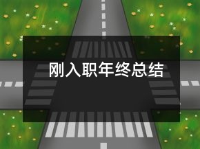 刚入职年终总结