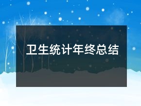卫生统计年终总结