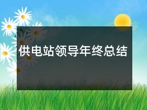 供电站领导年终总结