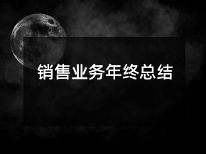 销售业务年终总结