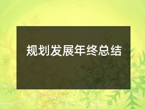 规划发展年终总结