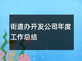 街道办开发公司年度工作总结
