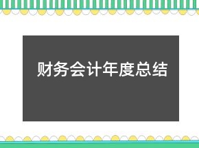 财务会计年度总结