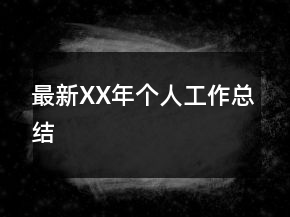 最新XX年个人工作总结