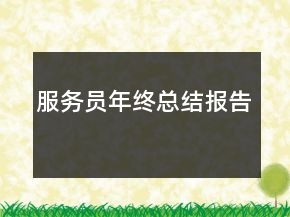服务员年终总结报告