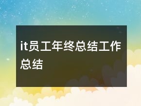 it员工年终总结工作总结