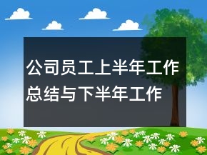 公司员工上半年工作总结与下半年工作计划