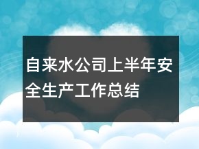 自来水公司上半年安全生产工作总结