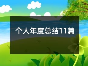 个人年度总结11篇
