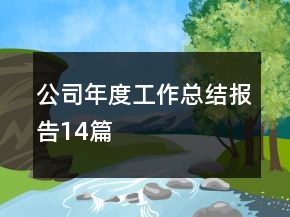 公司年度工作总结报告14篇