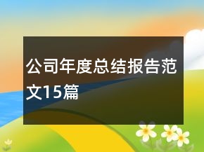 公司年度总结报告范文15篇