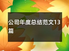公司年度总结范文13篇