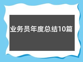业务员年度总结10篇