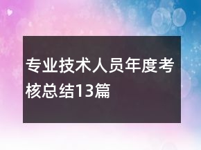 专业技术人员年度考核总结13篇