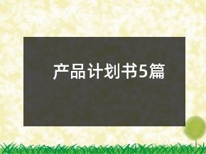 产品计划书5篇