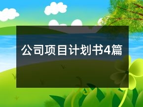 公司项目计划书4篇