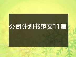 公司计划书范文11篇