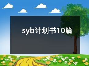 syb计划书10篇