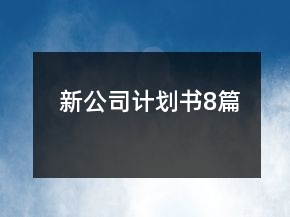 新公司计划书8篇