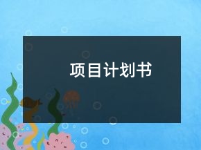 项目计划书
