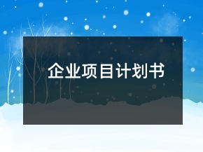 企业项目计划书