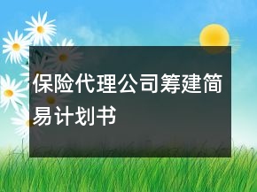 保险代理公司筹建简易计划书
