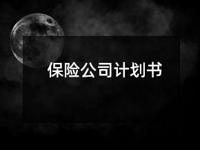 保险公司计划书