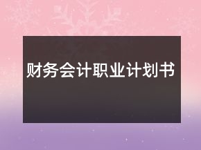 财务会计职业计划书