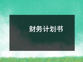 财务计划书